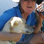 Profile Picture of Brian Wakely (@brianlafont) on Instagram