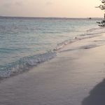 Profile Picture of Rania Blöchliger (@celine8celine) on Instagram