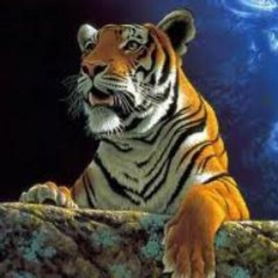 Profile Picture of Luis Cuello (@luiscuello1807) on Twitter
