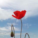 Lucia Avendaño Baptista - Instagram Profile Picture of Lucia Avendaño Baptista (@lucia_avendano_) on Instagram