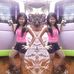 Profile Picture of Shelly Samaroo (@shelly.samaroo.56) on Facebook