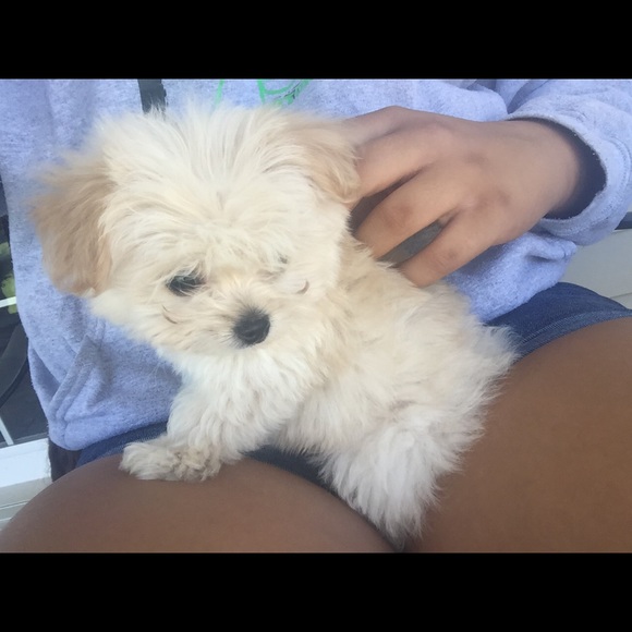 Profile Picture of Jordan Thomas (@jordan_trolol) on Poshmark