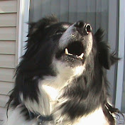 Profile Picture of Chris Homer (@chrishomer2383) on Youtube