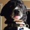 Profile Picture of Andy Tolar (@andy.tolar.940) on Facebook