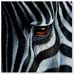 Profile Picture of Paul Jurek (@paul.jurek.12) on Facebook