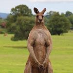 Profile Picture of James Gale (@jamesgale37) on Instagram