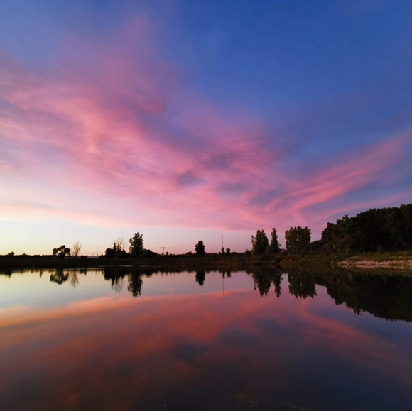 Profile Picture of Tera Reynolds (@tera504) on Poshmark