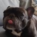 Profile Picture of Dominic Manfredi (@dominic.manfredi) on Facebook