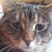 Profile Picture of Jonathan Simonson (@jonathan.simonson.98) on Facebook