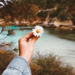 Profile Picture of daniel (@tidaksukadurian) on Instagram