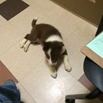 Profile Picture of Ginger Witt (@wittginger) on Instagram