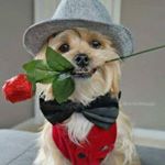 Profile Picture of James Garth Morgan (@jamesgarthmorgan) on Instagram