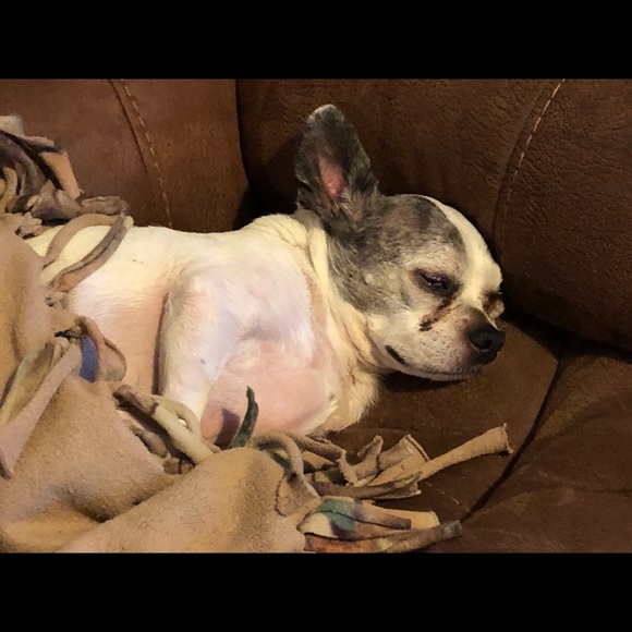 Profile Picture of Teresa Ladrach (@teresaladrach) on Poshmark