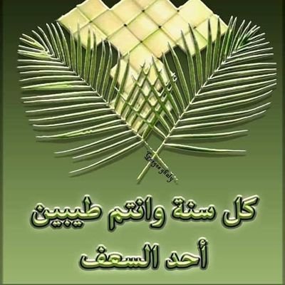 Profile Picture of Martin Maged (@MartinMaged19) on Twitter