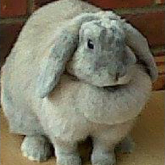 Profile Picture of Dawn Bescoby-wiltshire (@scoobyspotty) on Poshmark