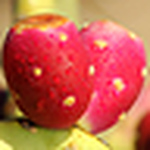 Profile Picture of Michael Dennis (@godsmichael) on Flickr