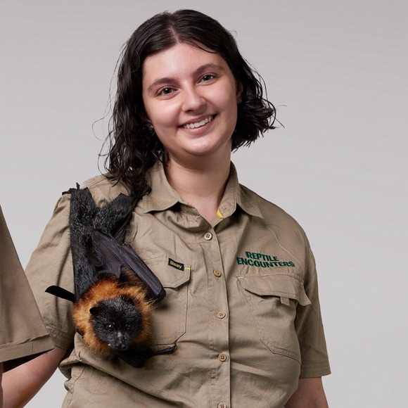 Profile Picture of Annelise Rashoo (@anneliseras) on Poshmark