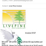 Profile Picture of Steven Mason (@Steven-Mason) on Facebook