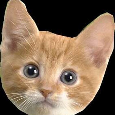 Profile Picture of Robert Liao (@connliao) on Twitter