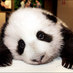 Profile Picture of Lim Lai Yin (@lai_yin) on Twitter