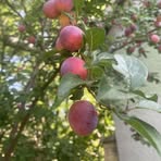 Profile Picture of Milca Zaragoza Alicea (@Milca-Zaragoza-Alicea) on Facebook