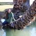 Profile Picture of Cathy Duron Mtzger (@cathy.mtzger) on Facebook