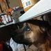 Profile Picture of Randy Corum (@randy.corum.73) on Facebook
