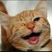 Profile Picture of hamoud ahmed (@hamoudahmed35) on Pinterest