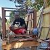 Profile Picture of Leonard Hussey (@leonard.hussey.5) on Facebook