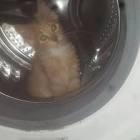 Profile Picture of   1646670073219077~c5_1080x10... (@janssenscindy) on Tiktok