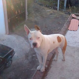 Profile Picture of Steven Landeros (@steven.landeros.9) on Facebook
