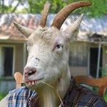 Profile Picture of Michael Ordway (@recycledspirit1) on Instagram