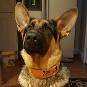 Profile Picture of David Pyle (@DavidPyle89) on Youtube