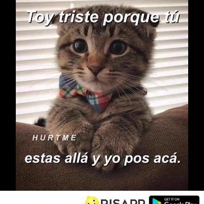Profile Picture of Edilio Lopez Téllez (@EdilioTellez) on Twitter