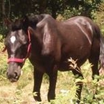 Profile Picture of Jose Bernardez Gonzalez (@josebernardezgonzalez) on Instagram