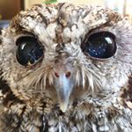 Profile Picture of Mark Redman (@quillofarkham1) on Instagram