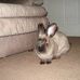 Profile Picture of Sally May Riddell Howard (@sally.m.howard.3) on Facebook