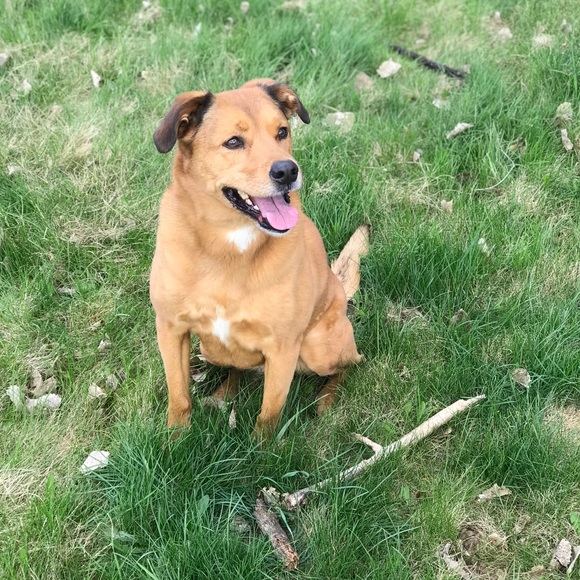 Profile Picture of Taylor Proft (@taymae1340) on Poshmark