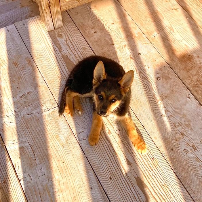 Profile Picture of Wampler⛪️ (@hunterwampler) on Tiktok