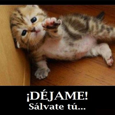 Profile Picture of Mario Cotto (@mariozepedagato) on Twitter