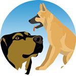 Profile Picture of Eddie Callaway (@birdfreak) on Instagram