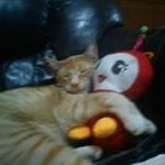 Profile Picture of Axel Bryan Robledo Yon (@robledoyon) on Instagram