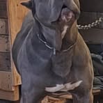 Profile Picture of Patricio Colín (@Patricio-Colín) on Facebook