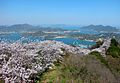 Profile Picture of Kamijima, Ehimeon Wikipedia