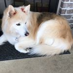 Profile Picture of Nancy Reine (@nancyreine3833) on Instagram