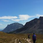 Profile Picture of Taylor Foreman (@taylor.f4479) on Instagram