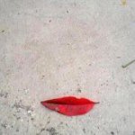 Profile Picture of Loridenbow (@lorirenfroedenbow) on Instagram