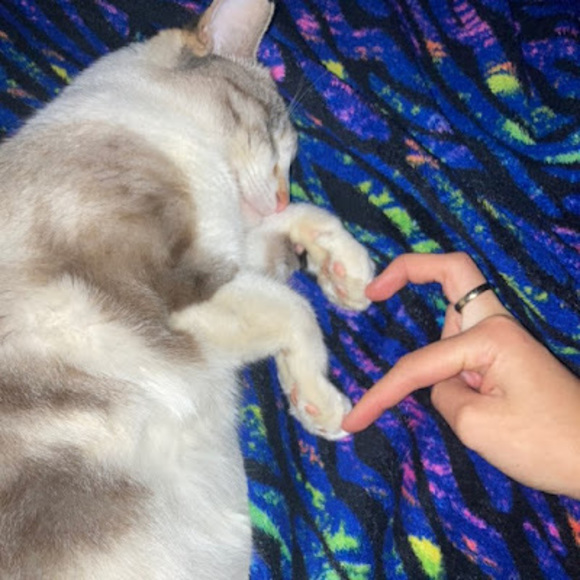 Profile Picture of Katherine Mckusick (@someone_insanee) on Poshmark