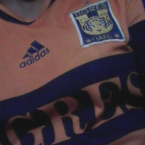 Profile Picture of Cassandra Acevedo (@Kassy_Acevedo) on Twitter