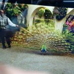 Profile Picture of Joseph ndegwa (@joseph5279) on Instagram